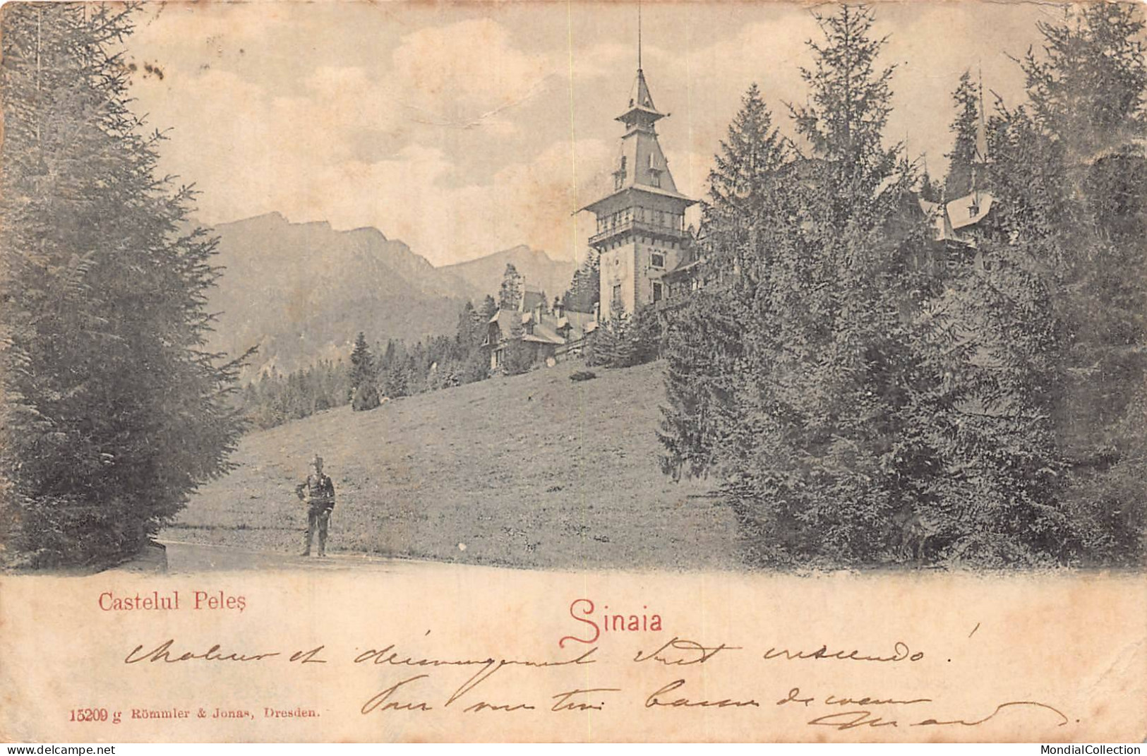 AGTP11-0834-ROUMANIE - SINAIA - Castelul Peles - Rumänien