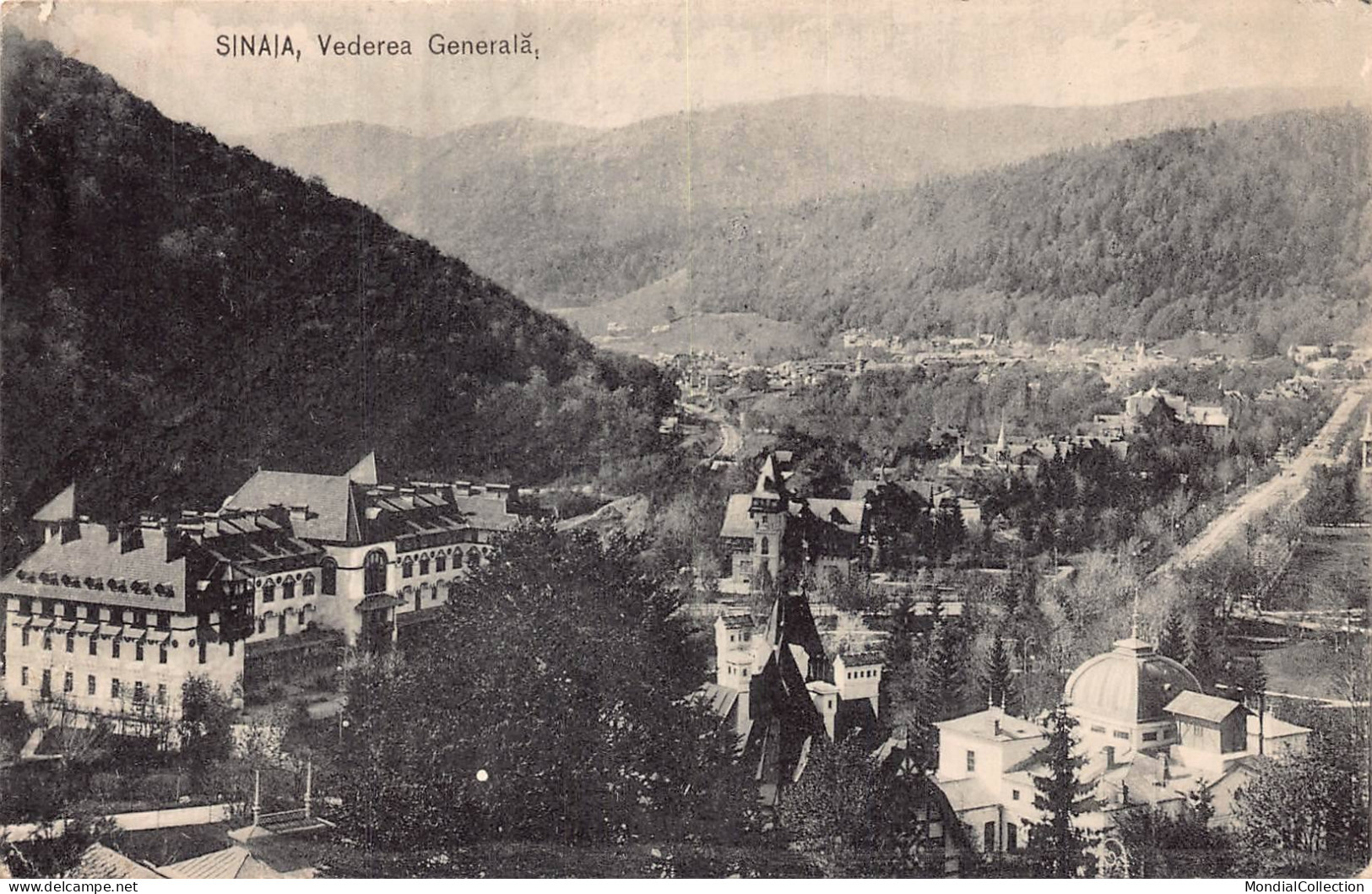 AGTP11-0830-ROUMANIE - SINAIA - Vederea Generala - Rumänien