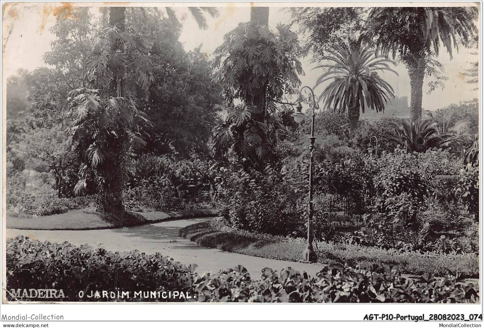 AGTP10-0764-PORTUGAL - MADEIRA - Jardin Municipal - Madeira