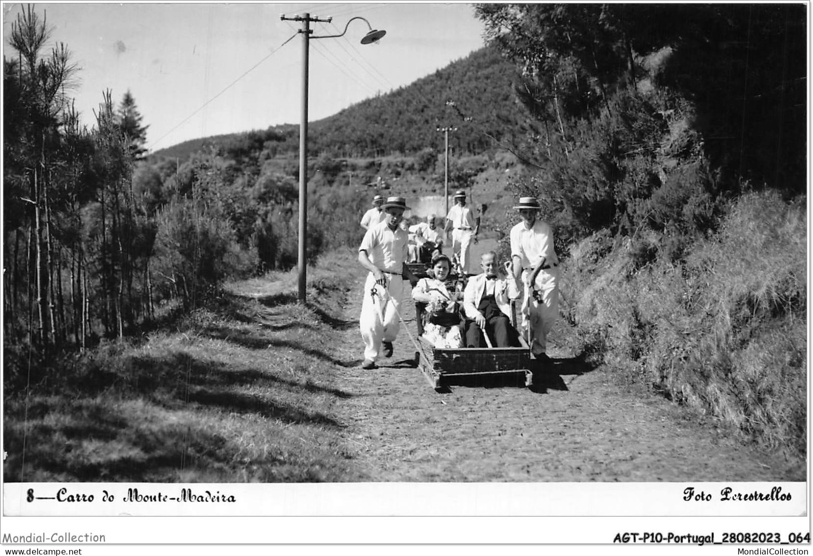 AGTP10-0759-PORTUGAL - MADEIRA - Carro Do Moute-madeira - Foto Perestrellos  - Madeira