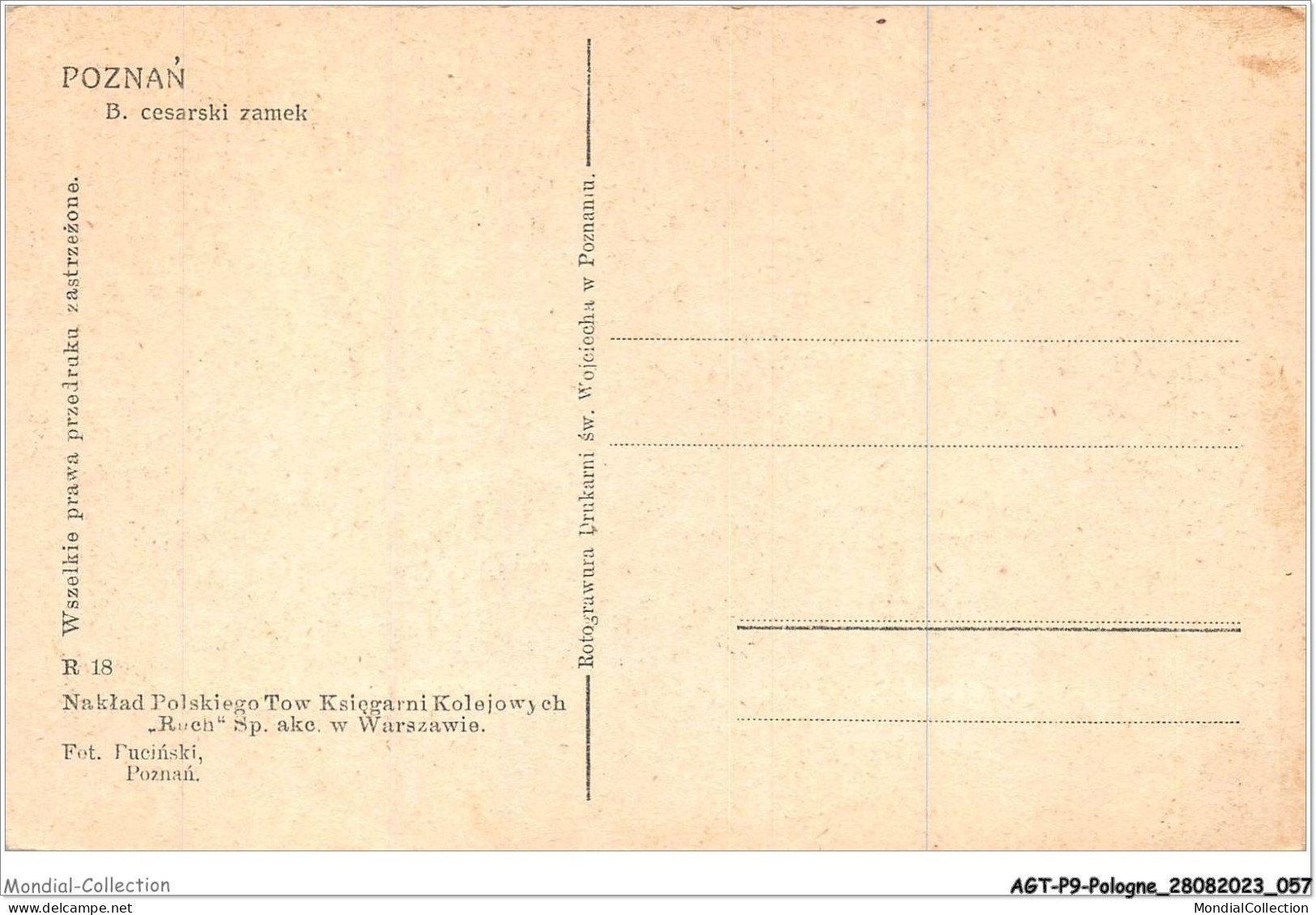 AGTP9-0665-POLOGNE - POZNAN - Cesarski Zamek  - Poland