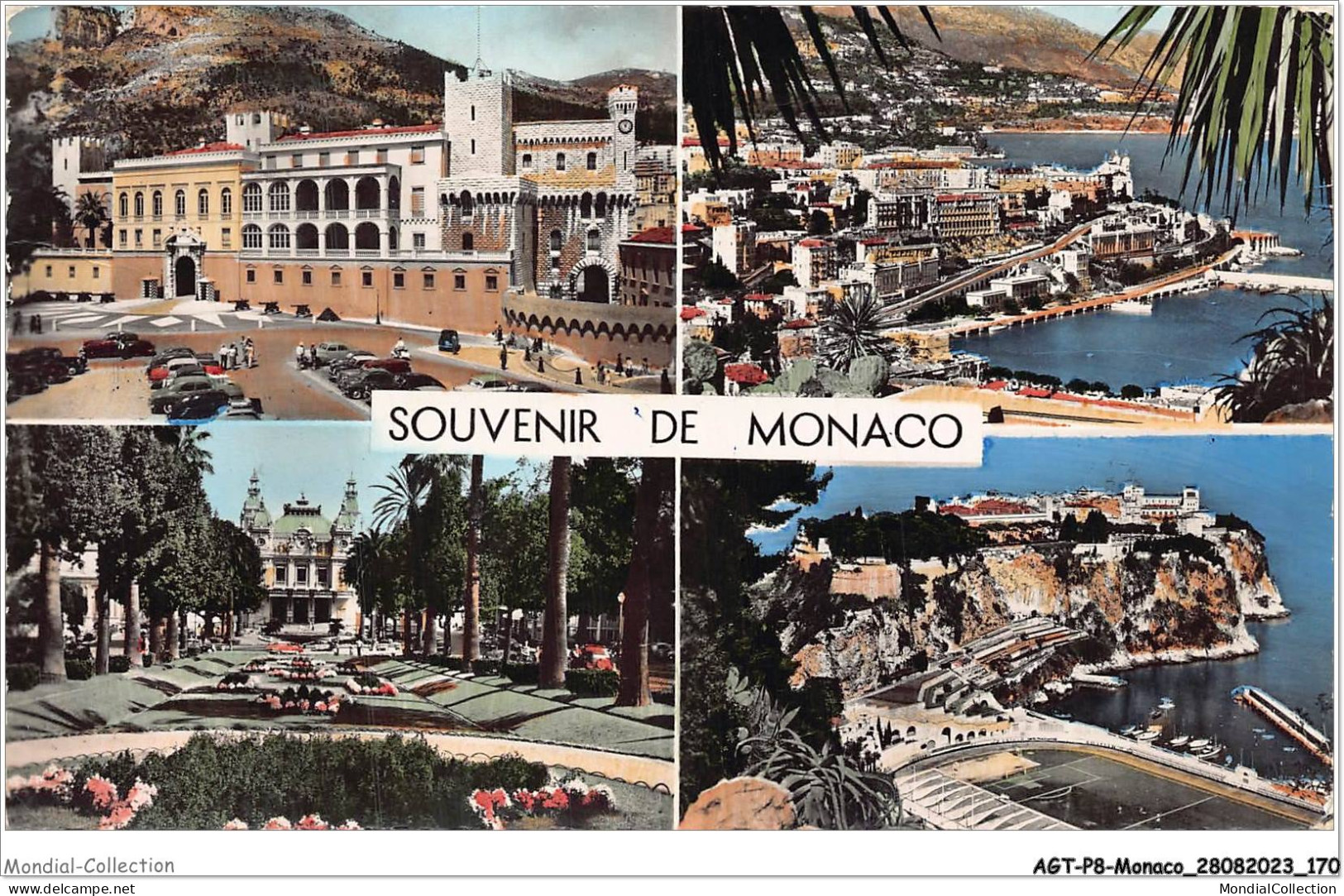 AGTP8-0630-MONACO - Souvenirs De Monaco- Palais Princier, Les Jardins, Monte-Carlo - Viste Panoramiche, Panorama