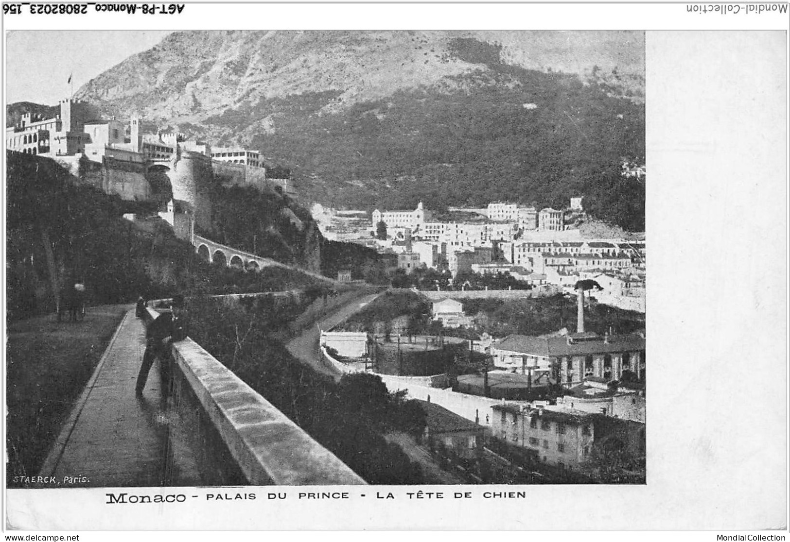 AGTP8-0623-MONACO - Palais Du Prince, La Tete De Chien - Panoramic Views