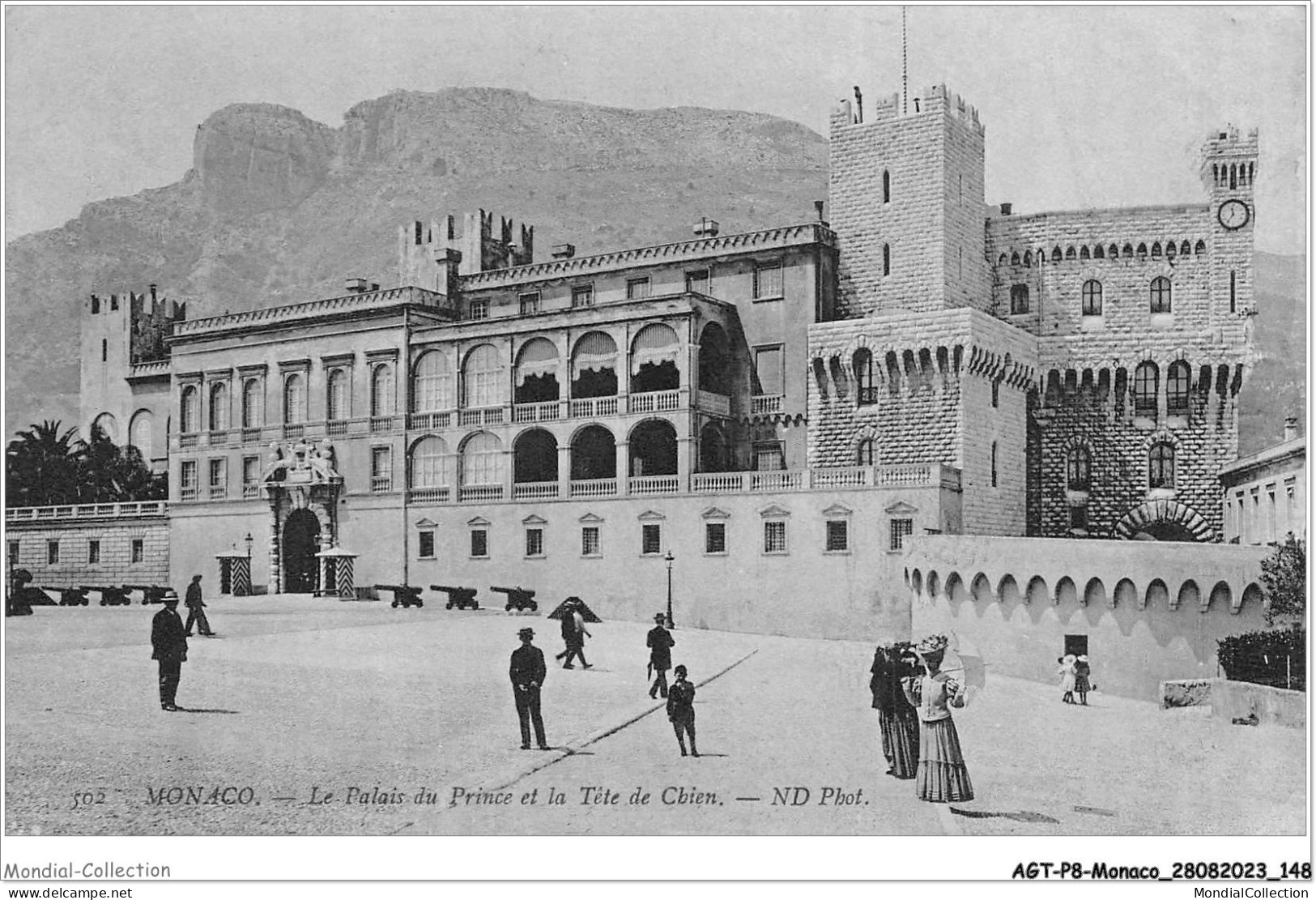 AGTP8-0619-MONACO - Le Palais Du Prince Et La Tete De Chien  - Palais Princier