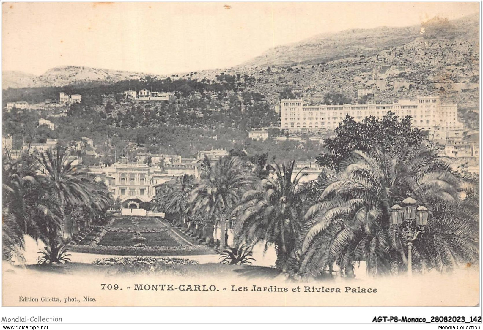 AGTP8-0616-MONACO - Les Jardins Et Riviera Palace  - Monte-Carlo