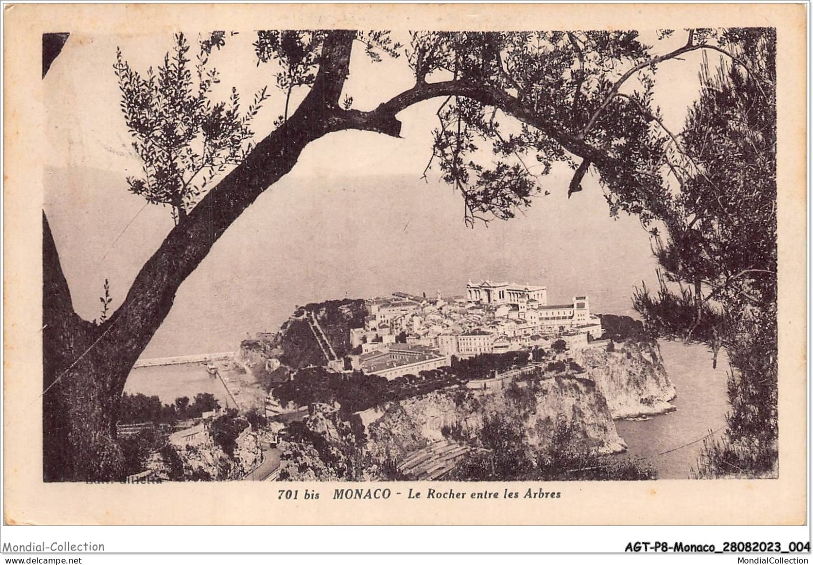 AGTP8-0547-MONACO - Le Rocher Entre Les Arbres  - Viste Panoramiche, Panorama