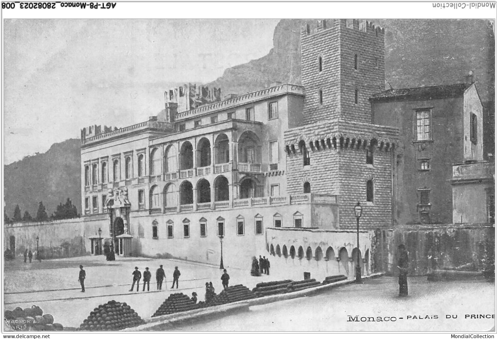 AGTP8-0549-MONACO - Palais Du Prince  - Fürstenpalast