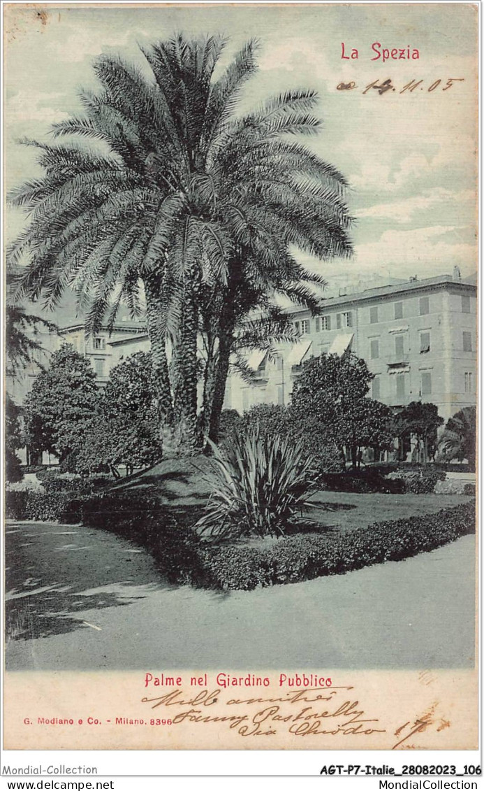 AGTP7-0521-ITALIE - LA-SPEZIA - Palme Nel Giardino Pubblico - Autres & Non Classés