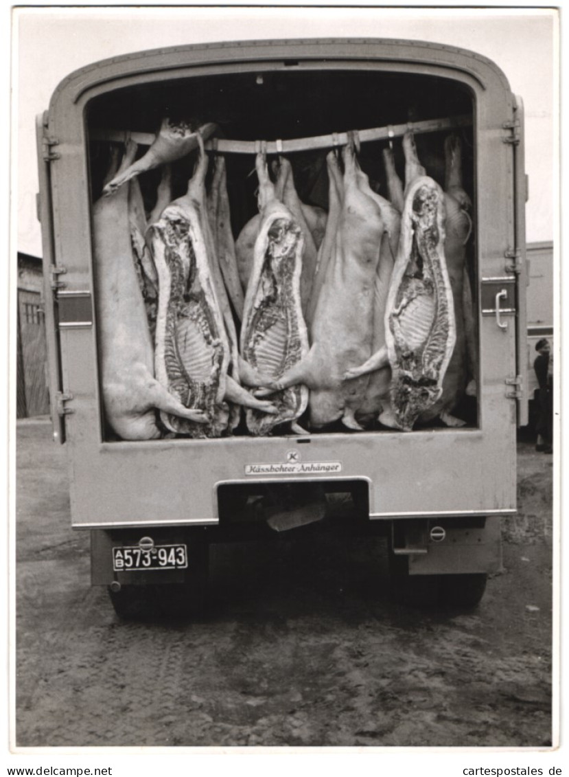 Fotografie Spedition A. Kraemer, Bamberg, Lastwagen Mit Kässbohrer - Kühlanhänger Transportiert Schweinehälften  - Automobiles