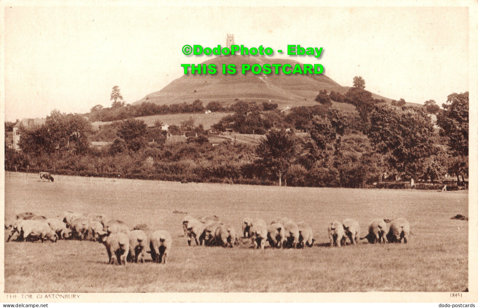 R357924 The Tor Glastonbury. 18451 - Monde