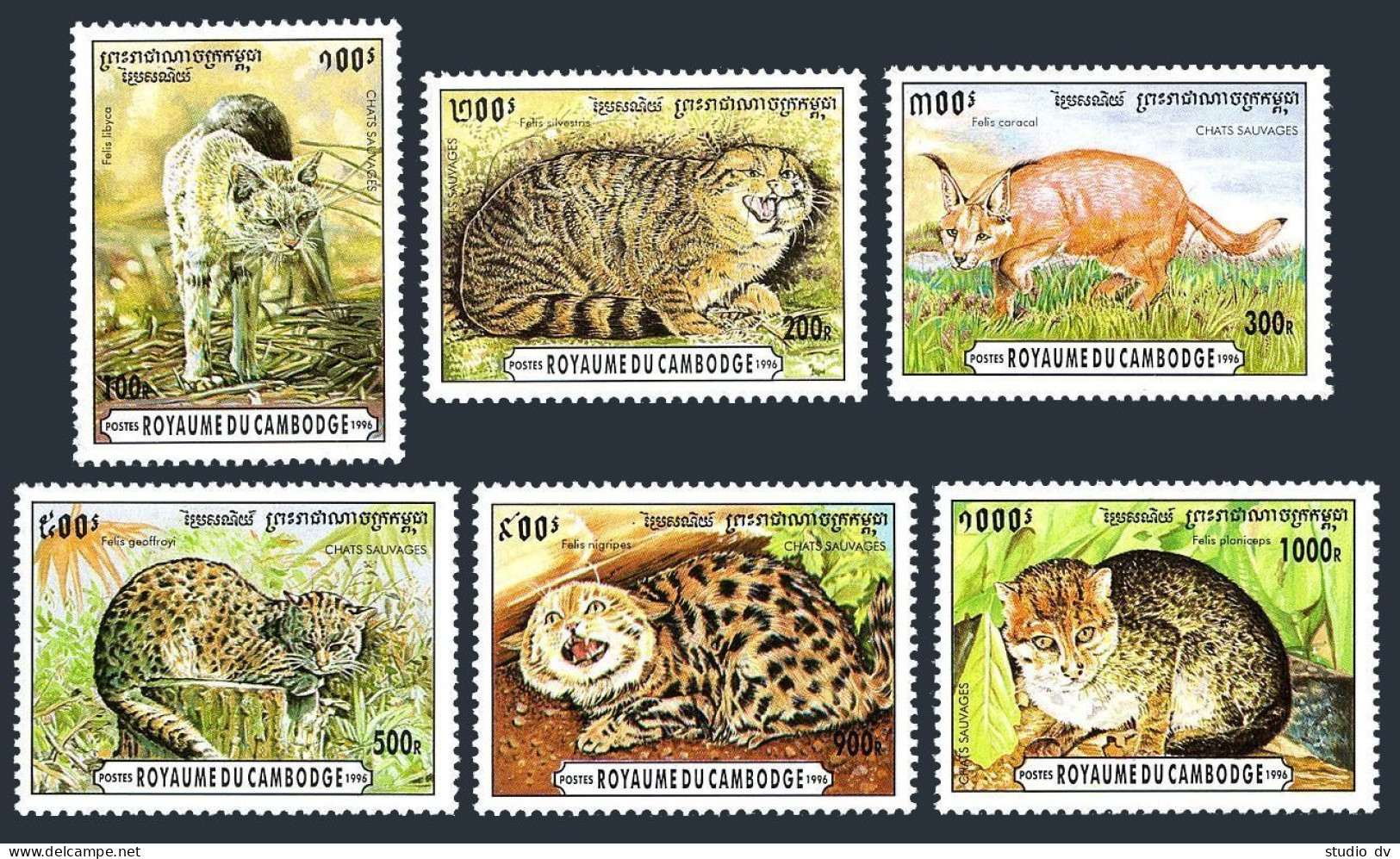 Cambodia 1491-1496,MNH.Michel 1569-1574. Wild Cats 1996.Felis Lilyca,Geoffroyi, - Cambogia