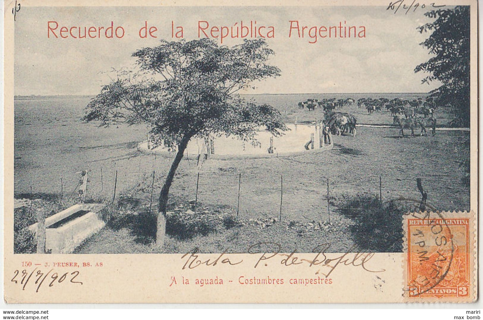 1902 RECUERDO DE LA REPUBLICA ARGENTINA - VG PER PADOVA --- E0560 * - Argentinien