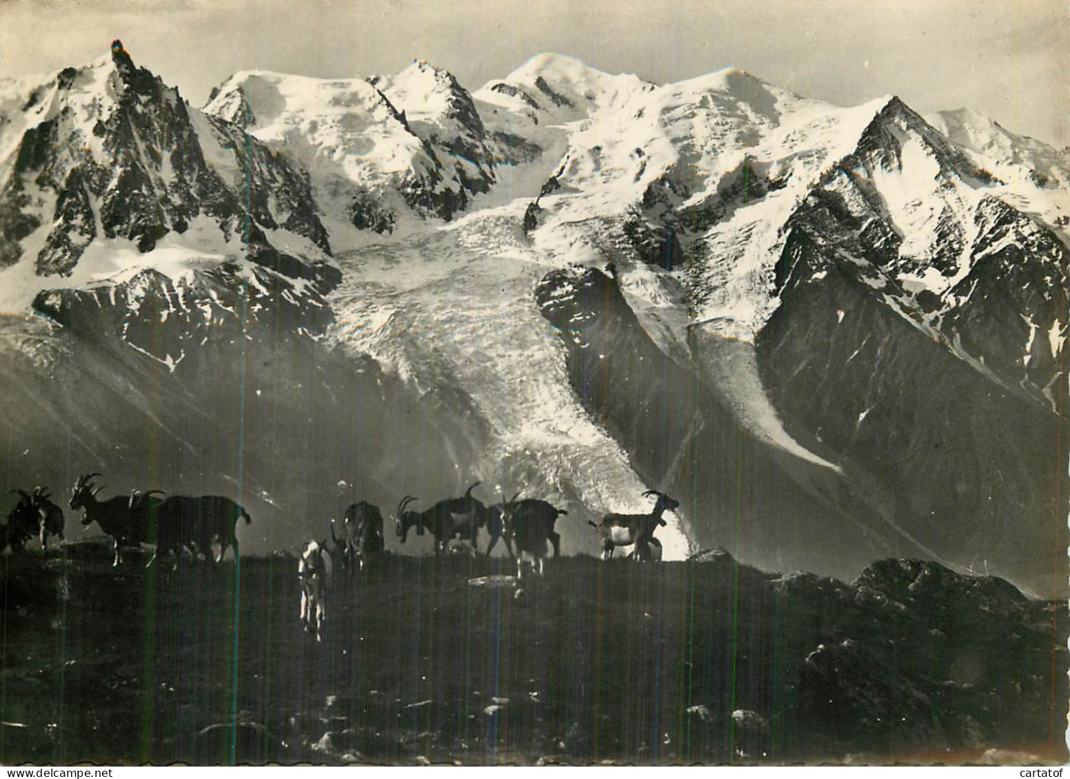 Le Massif Du Mt-Blanc Vu De PLAN PRAZ - Autres & Non Classés
