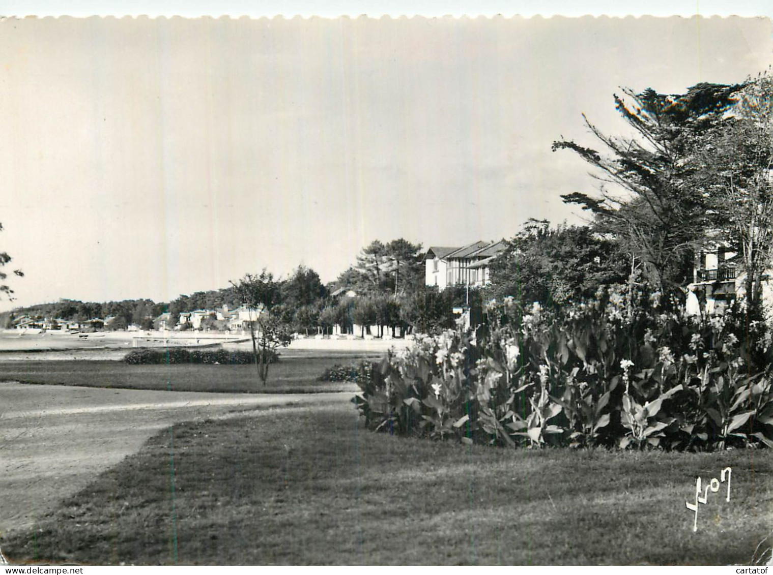 HOSSEGOR . Un Coin Du Parc Vers Le Lac . - Hossegor