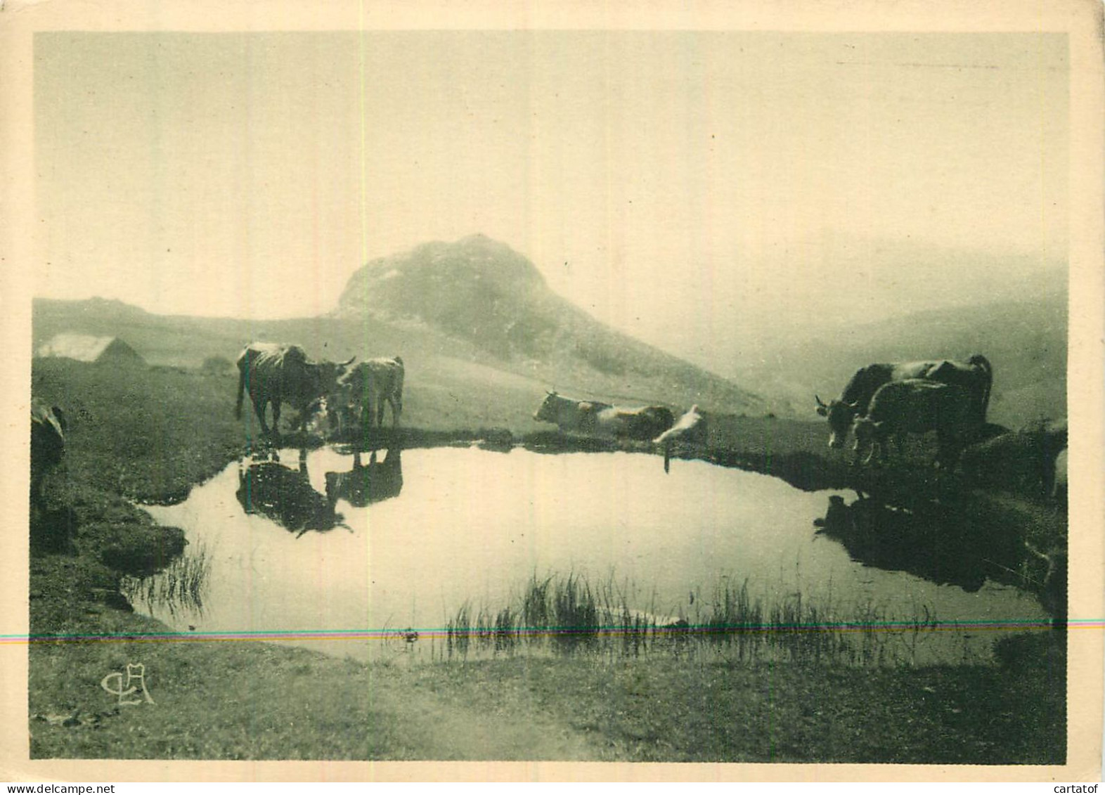  HAUTS PLATEAUX DU VIVARAIS . Ardèche . - Autres & Non Classés