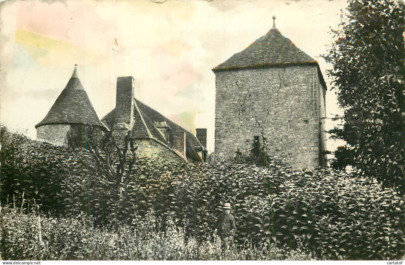 LES HEROLLES . Le Château Du PiN - Andere & Zonder Classificatie