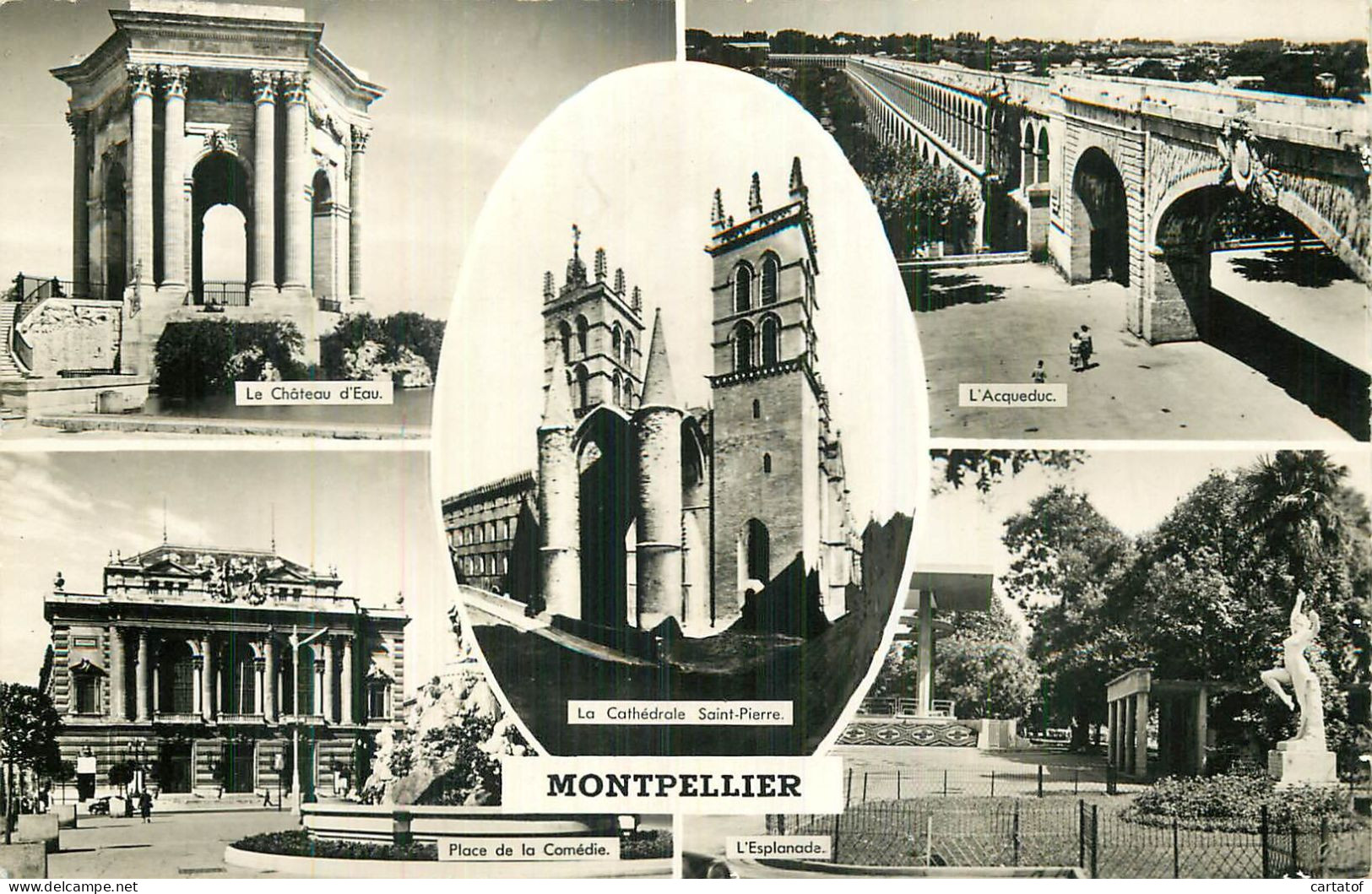 MONTPELLIER .  CP Multivues . - Montpellier