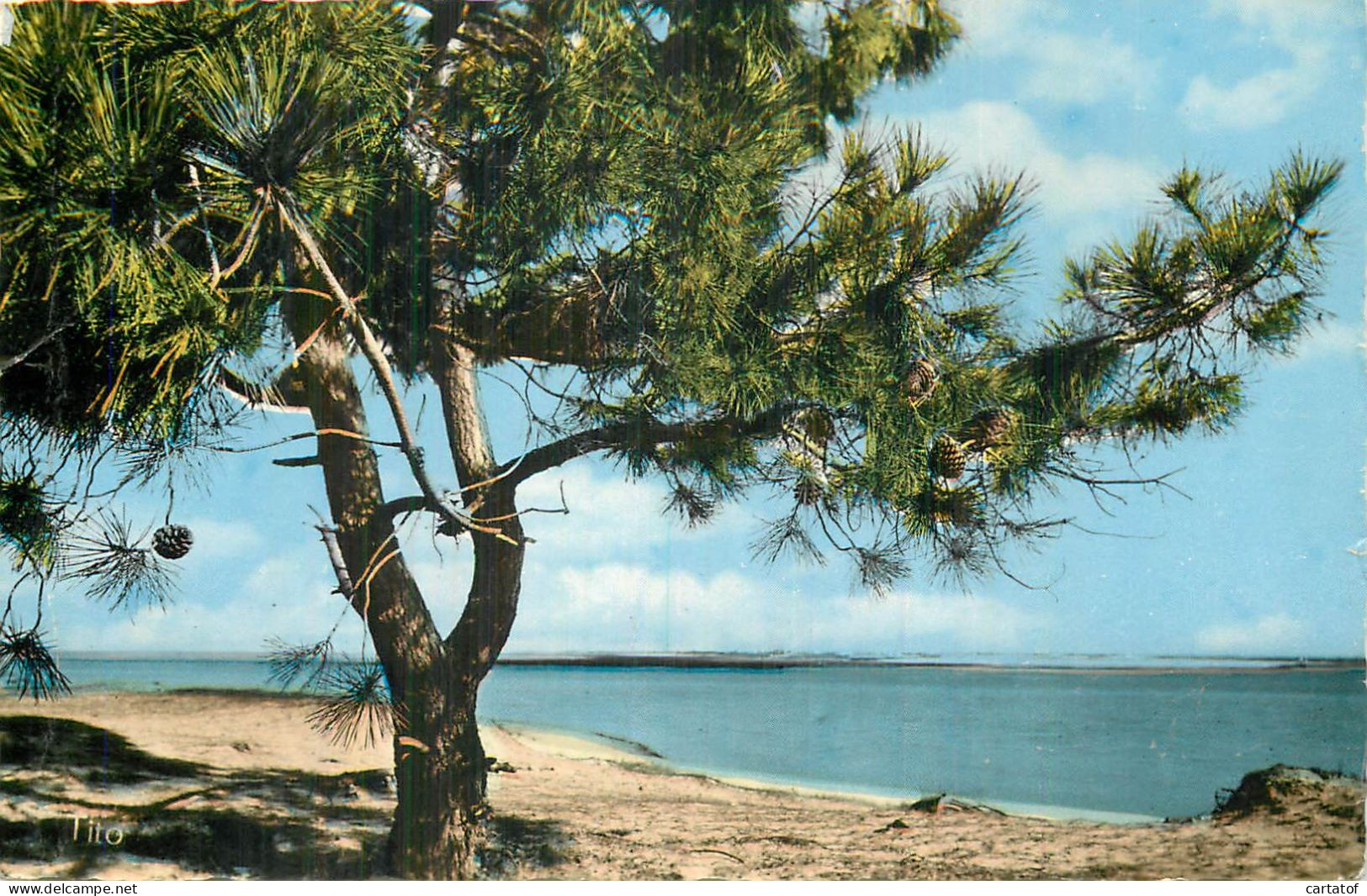 ILE DE RE . L'entrée Du Fier D'ARS . Vue De La Plage De Troussechemise - Ile De Ré