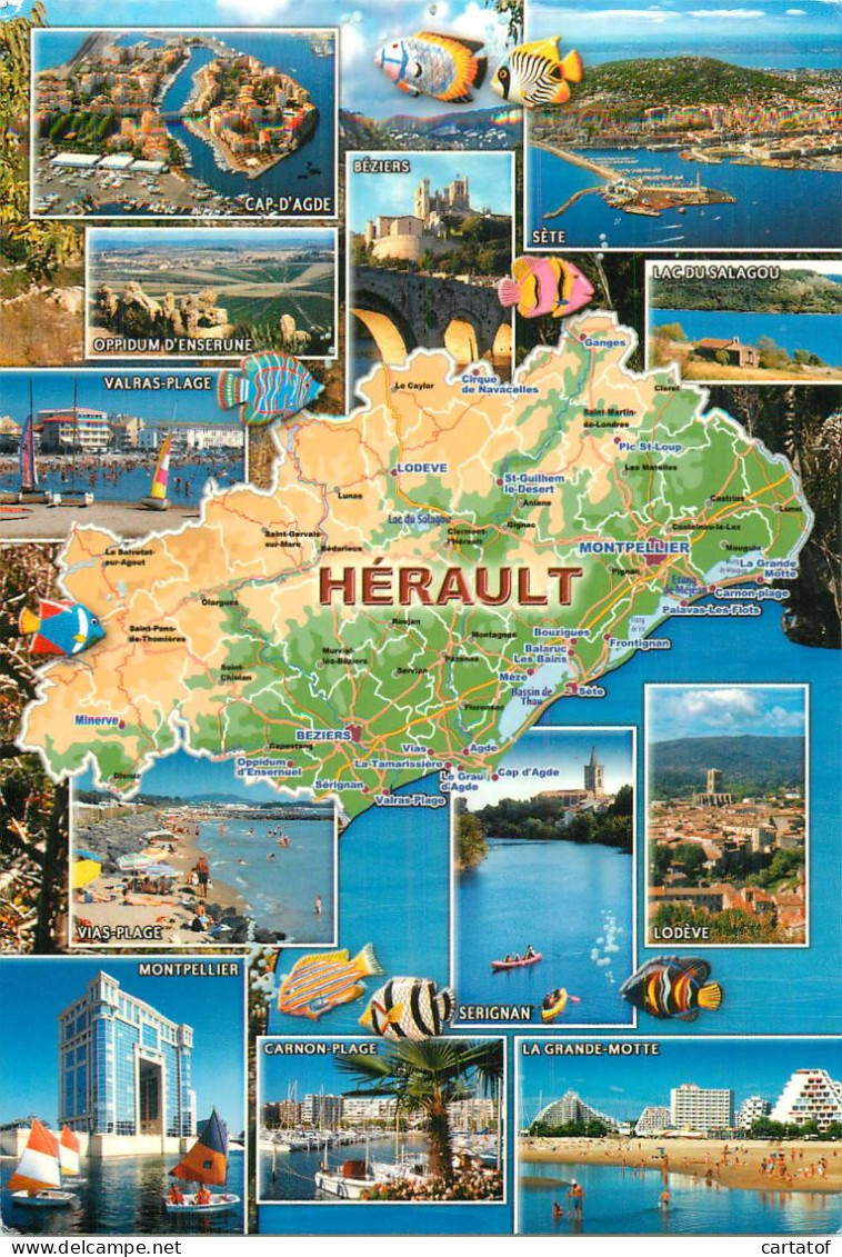 HERAULT . Carte Géogaphique Multivues - Sonstige & Ohne Zuordnung