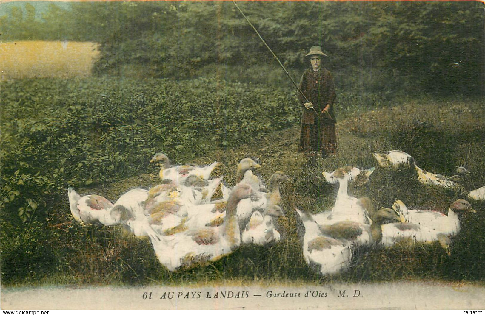 Au Pays Landais . Gardeuse D'Oies . - Other & Unclassified