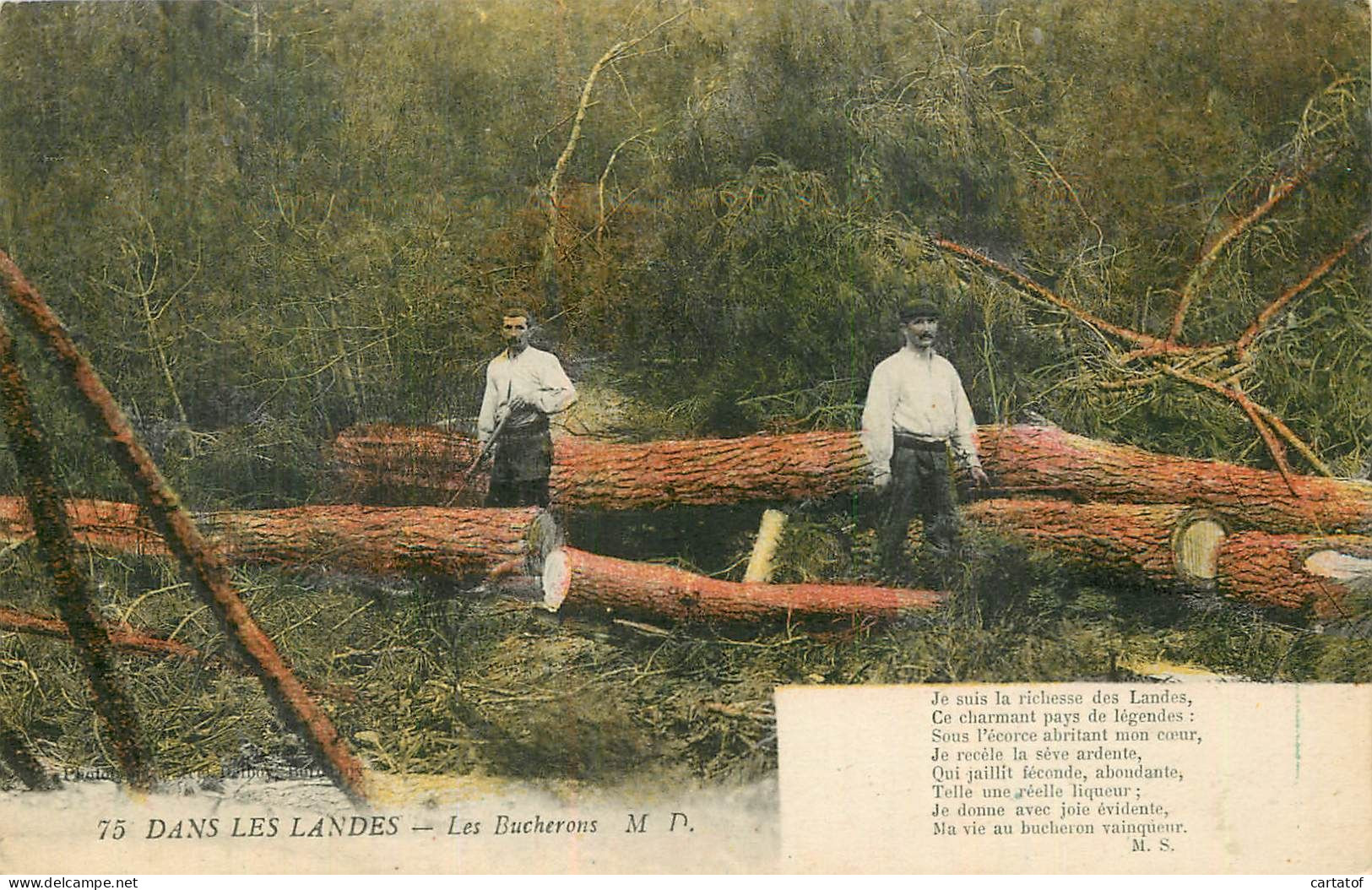 Dans Les Landes . Les Bucherons - Altri & Non Classificati