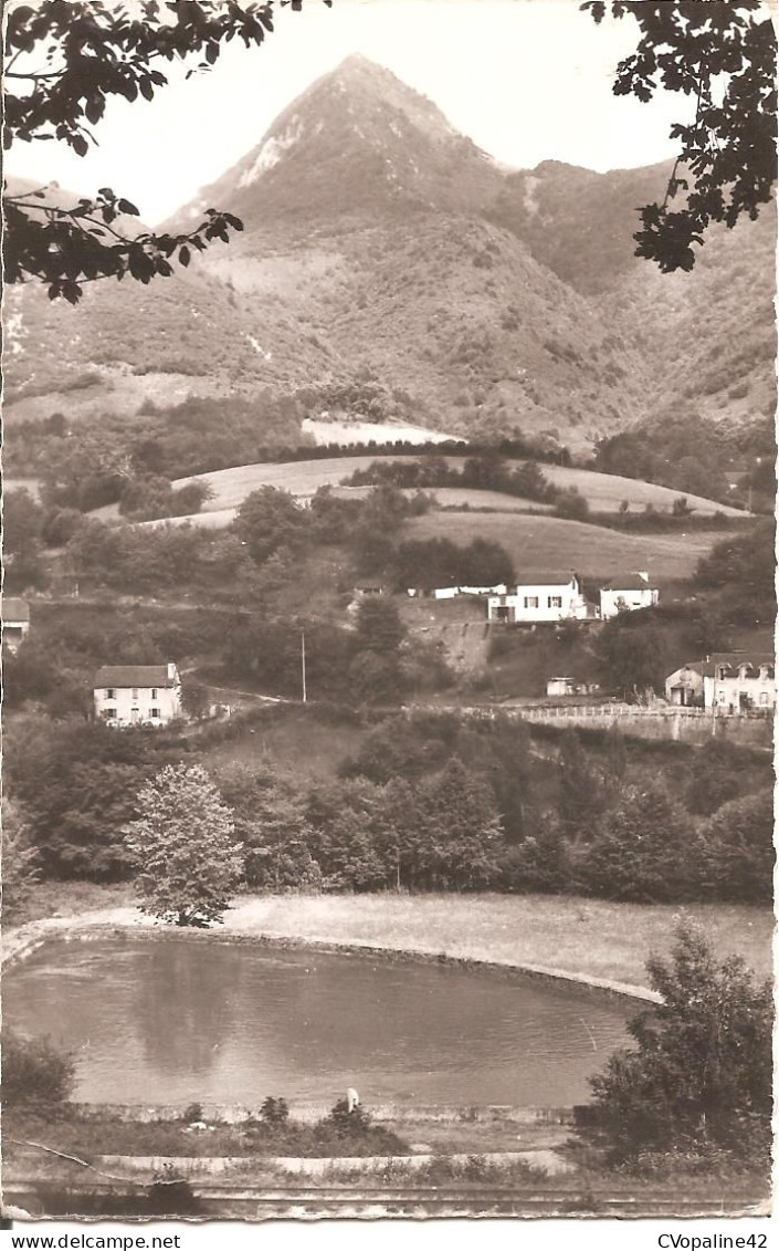 ARTHEZ-D'ASSON (64) La Pène Et La Hèche  CPSM  PF - Autres & Non Classés