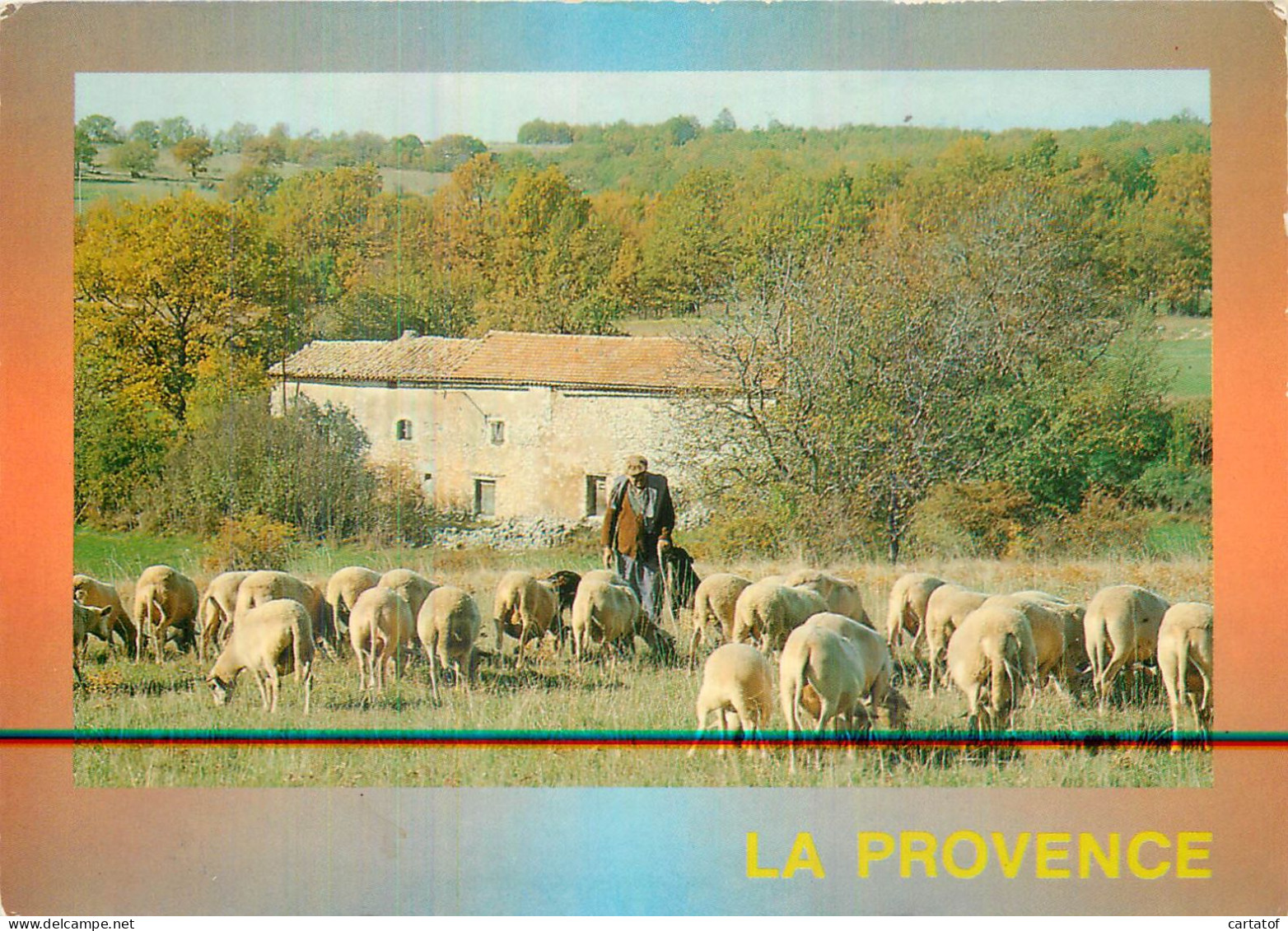 LA PROVENCE .  LE BERGER ET SES MOUTONS - Autres & Non Classés