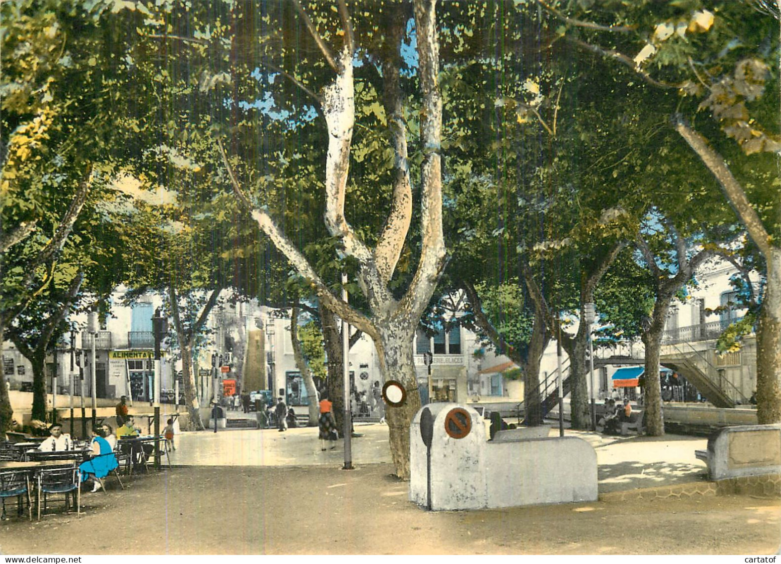 CERBERE . La Place Et Ses Ombrages - Cerbere