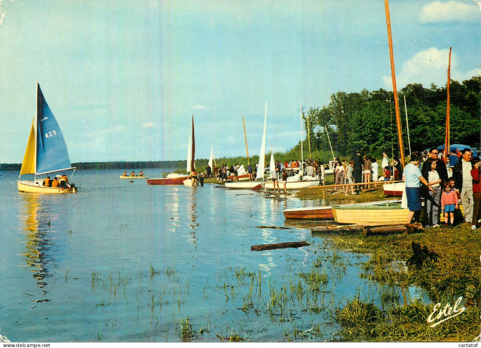 TROYES . Le Lac De La Forêt D'Orient . - Troyes