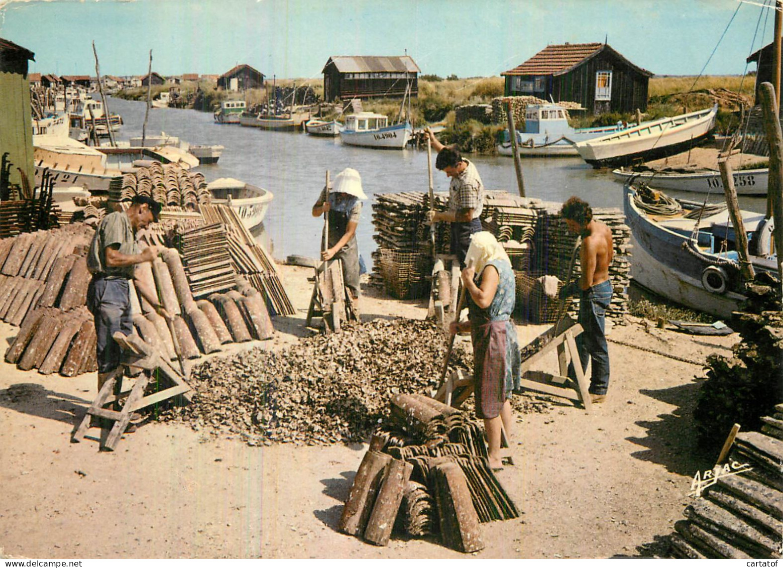 Le Détroquage Des Huitres Au Chenal D'Ors . MARENNES OLERON . - Marennes