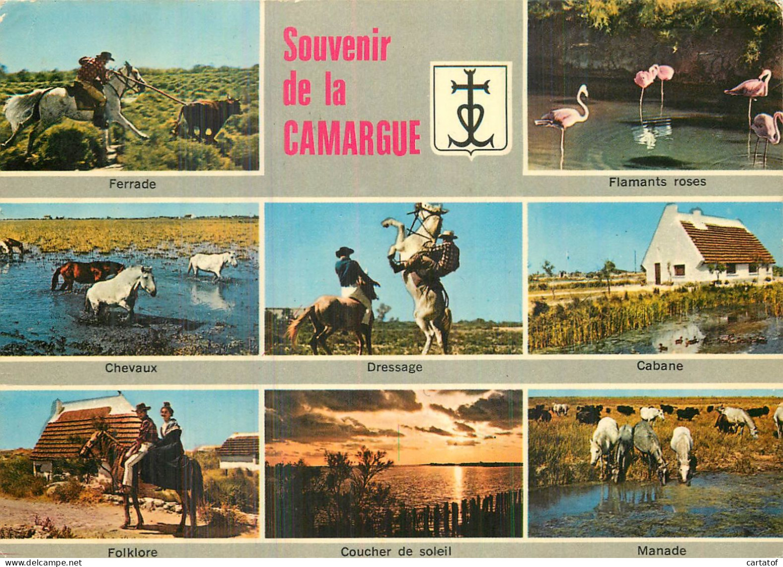 Souvenir De La CAMARGUE . CP Multivues - Autres & Non Classés