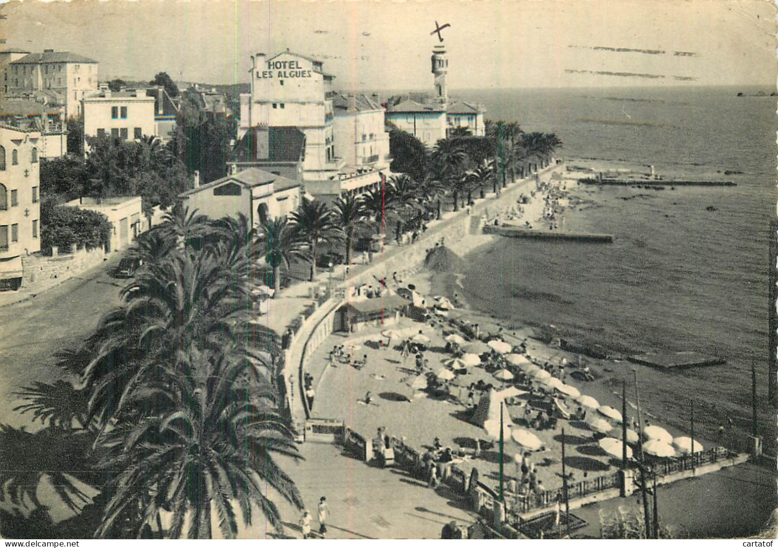 SAINT RAPHAEL . Bird De Mer - Saint-Raphaël