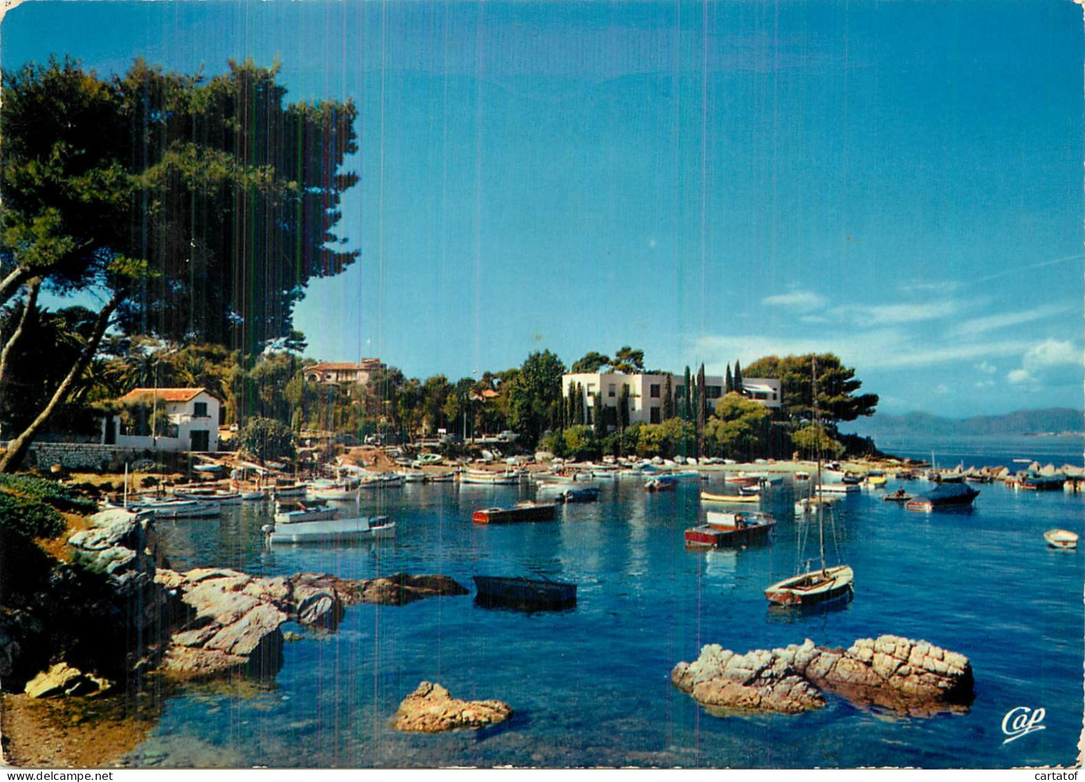 JUAN LES PINS . Le Port De L'Olivette Cu CAP D'ANTIBES - Juan-les-Pins