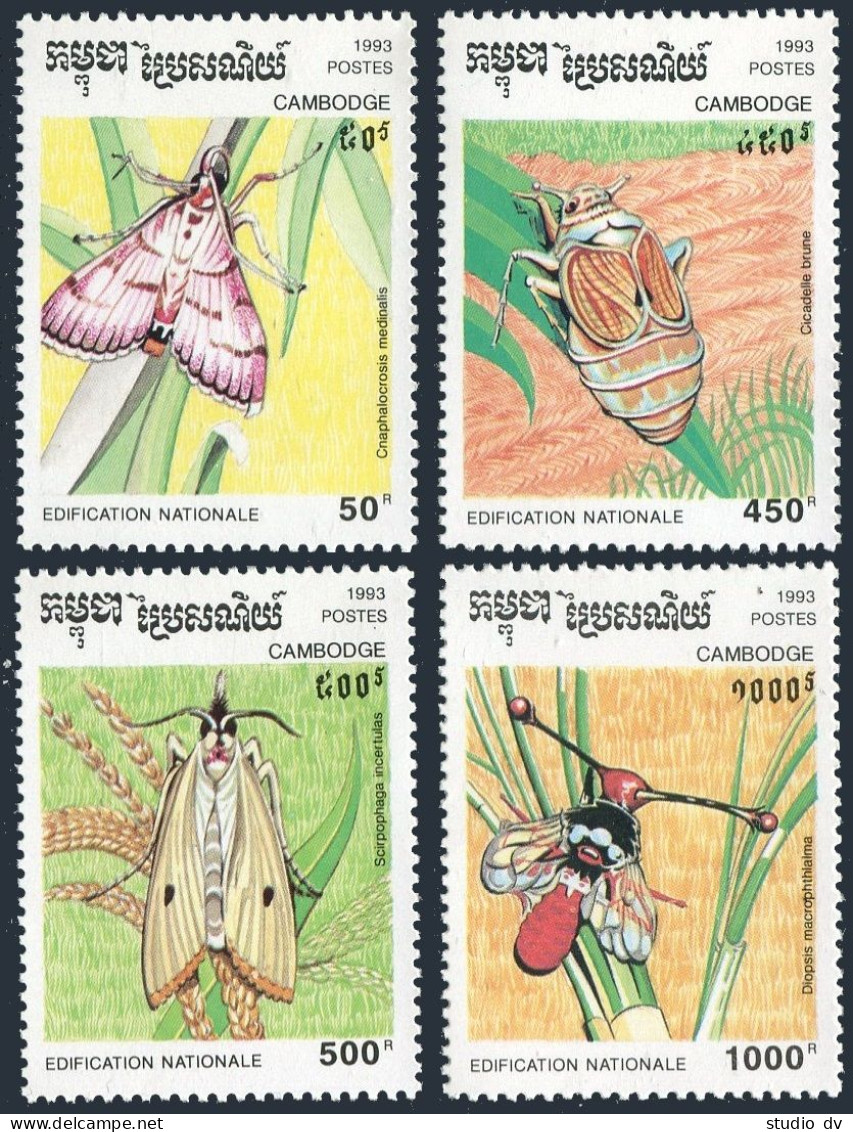 Cambodia 1318-1321,1322,MNH.Michel 1397-1400,Bl.202. Insects 1993.Cnaphalocrosis - Kambodscha