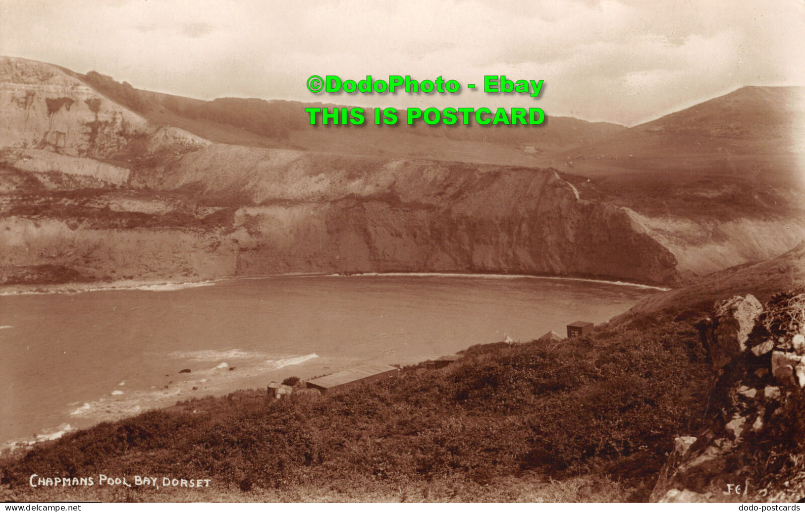 R358157 Dorset. Chapman Pool Bay. Postcard - World