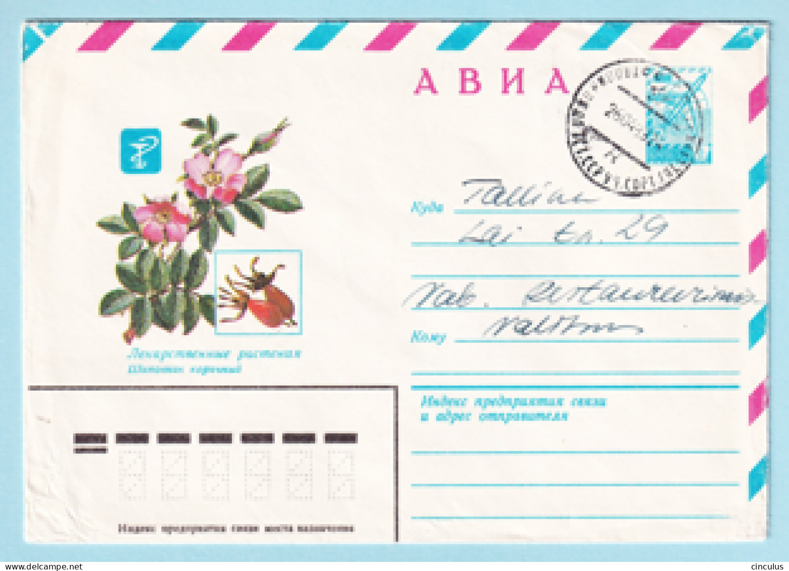 USSR 1981.0623. Dog Rose (Rosa Canina). Prestamped Cover, Used - 1980-91