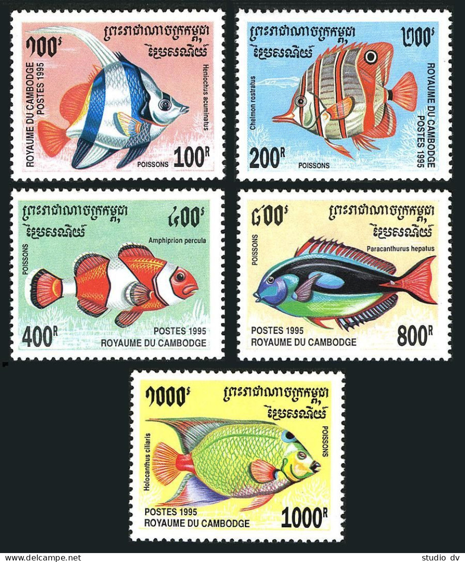Cambodia 1466-1470,1471,MNH.Michel 1543-1547,1548 Bl.216. Fish 1995. - Cambogia