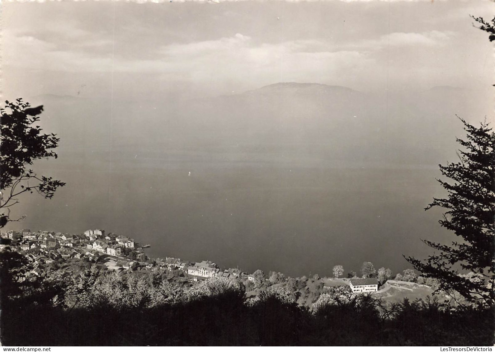 SUISSE - Ecole Française Du Valais - St Gingolph (Suisse) - Vue Sur La Mer - Une Partie De La Ville - Carte Postale - Saint-Gingolph