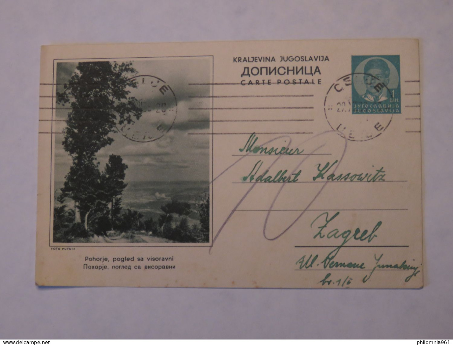 YUGOSLAVIA NATURE ILLUSTRATED POSTAL CARD 1938 - Autres & Non Classés