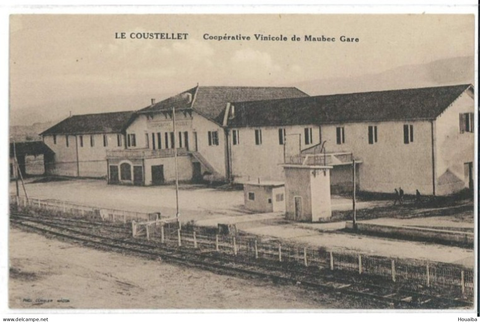 CPA - Coopérative Vinicole De Maubec Gare - Le Coustellet (84) - Autres & Non Classés