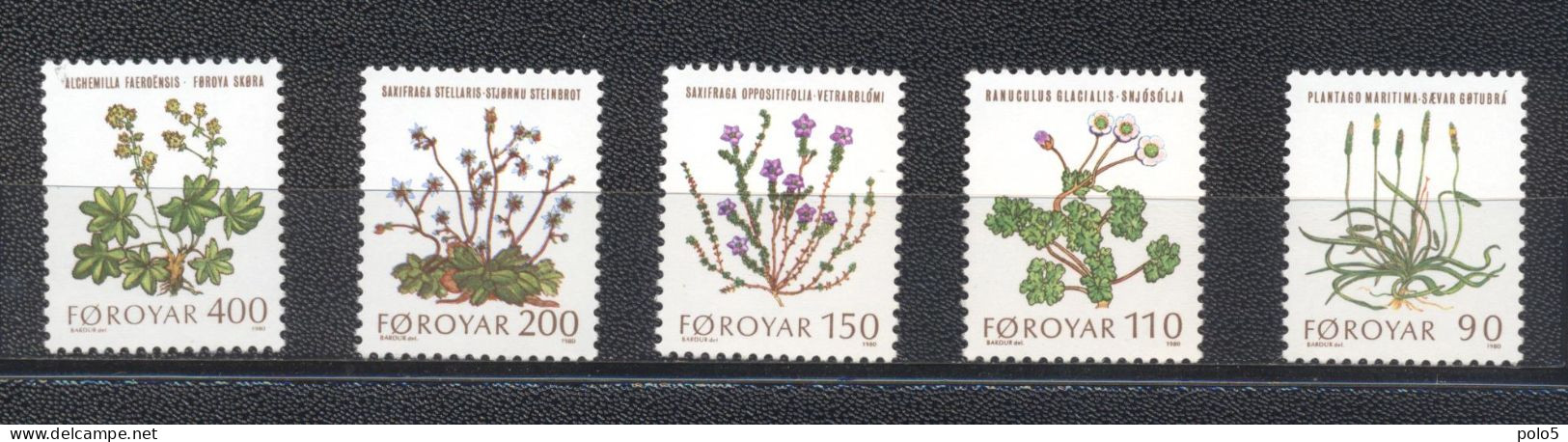 Iles Féroé 1980- Mountain Flowers  Set (5v) - Faroe Islands