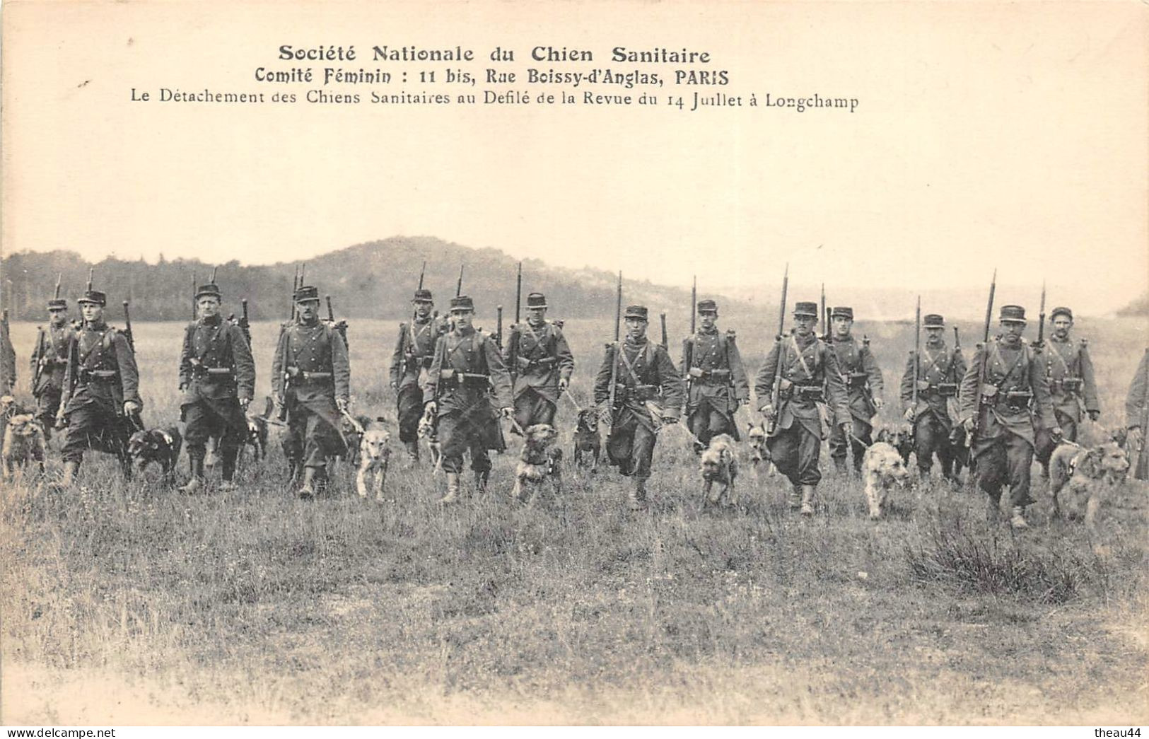 Guerre 1914-18  -  Société Nationale Du Chien Sanitaire  - Détachement Des Chiens Au Défilé Du 14 Juillet à LONGCHAMP - Oorlog 1914-18