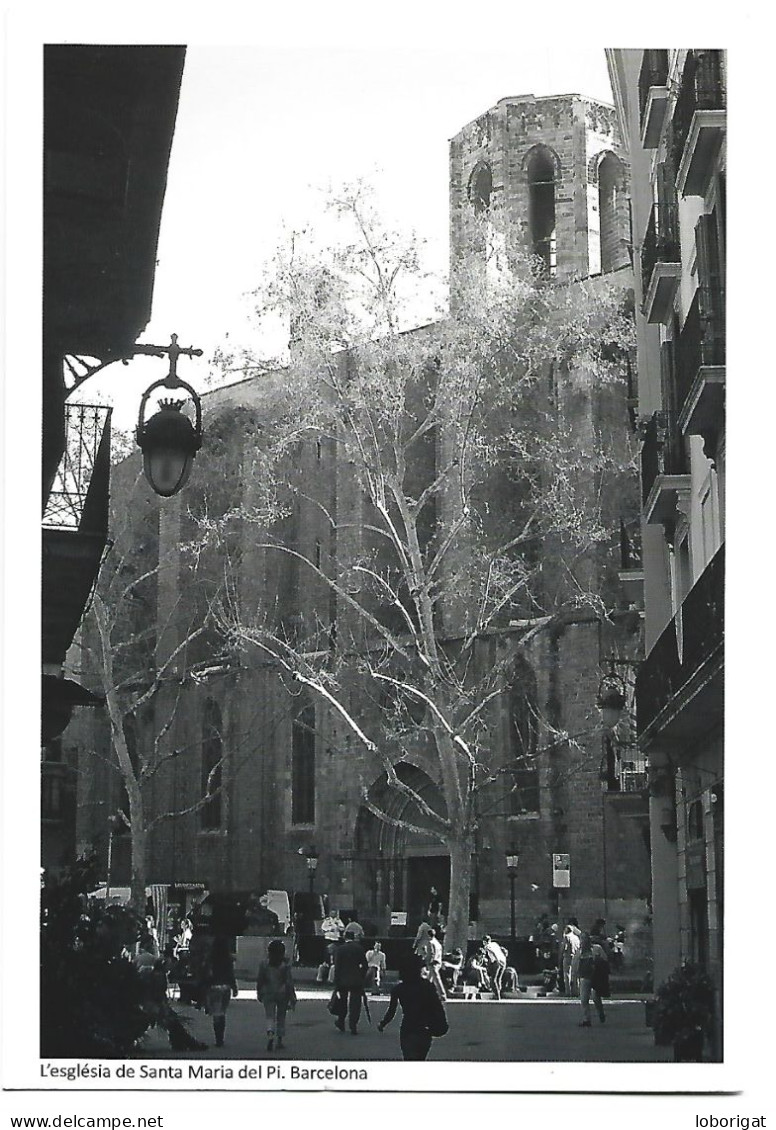 L'ESGLESIA PARROQUIAL DE SANTA MARIA DEL PI DES DE LA PLAÇA SANT JOSEP ORIOL.-  BARCELONA.- ( CATALUNYA ) - Barcelona