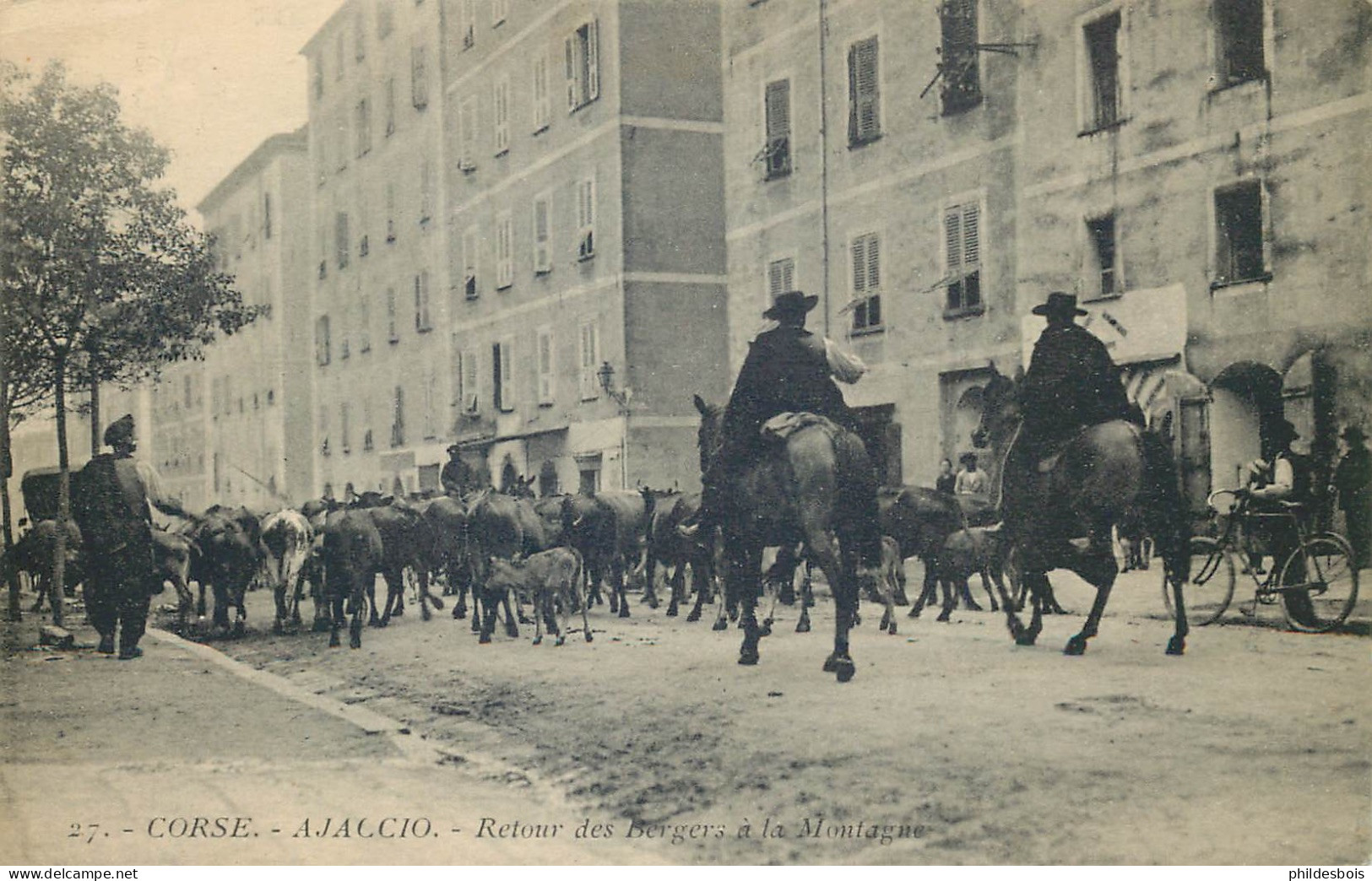 CORSE  AJACCIO  Retour Des Bergers A La Montagne - Ajaccio