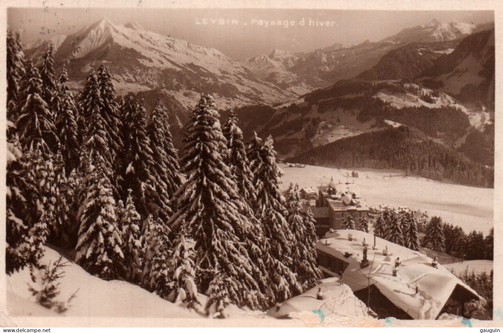 CPA - LEYSIN - Paysage D'hiver - Edition Librairie Du Mt Blanc - Leysin
