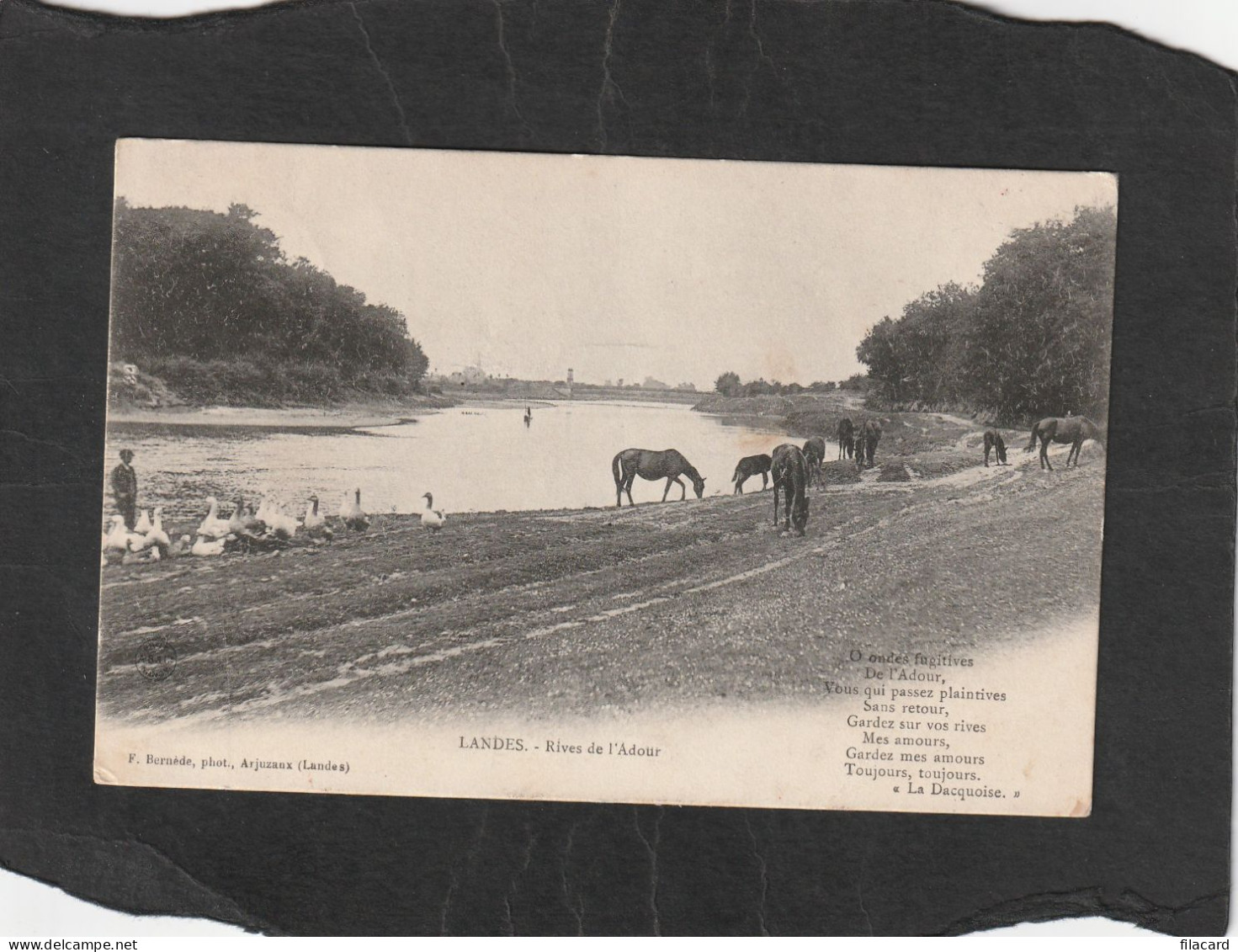 129006         Francia,     Landes,   Rives  De L"Adour,   VG   1904 - Autres & Non Classés