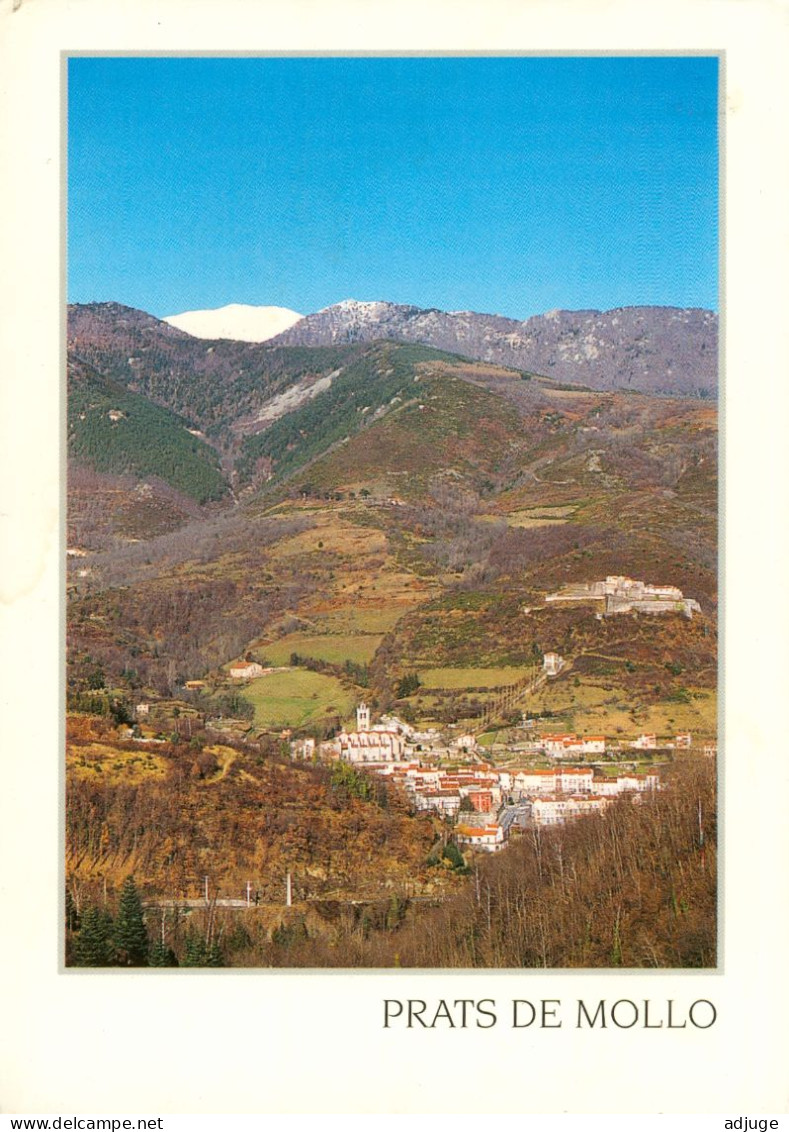 CPM-66- PRATS DE MOLLO - LA PRESTE _ Vue Générale Et Le Canigou- Photo D'Art Souleyrac *  Flamme *TBE- **2 Scans - Altri & Non Classificati