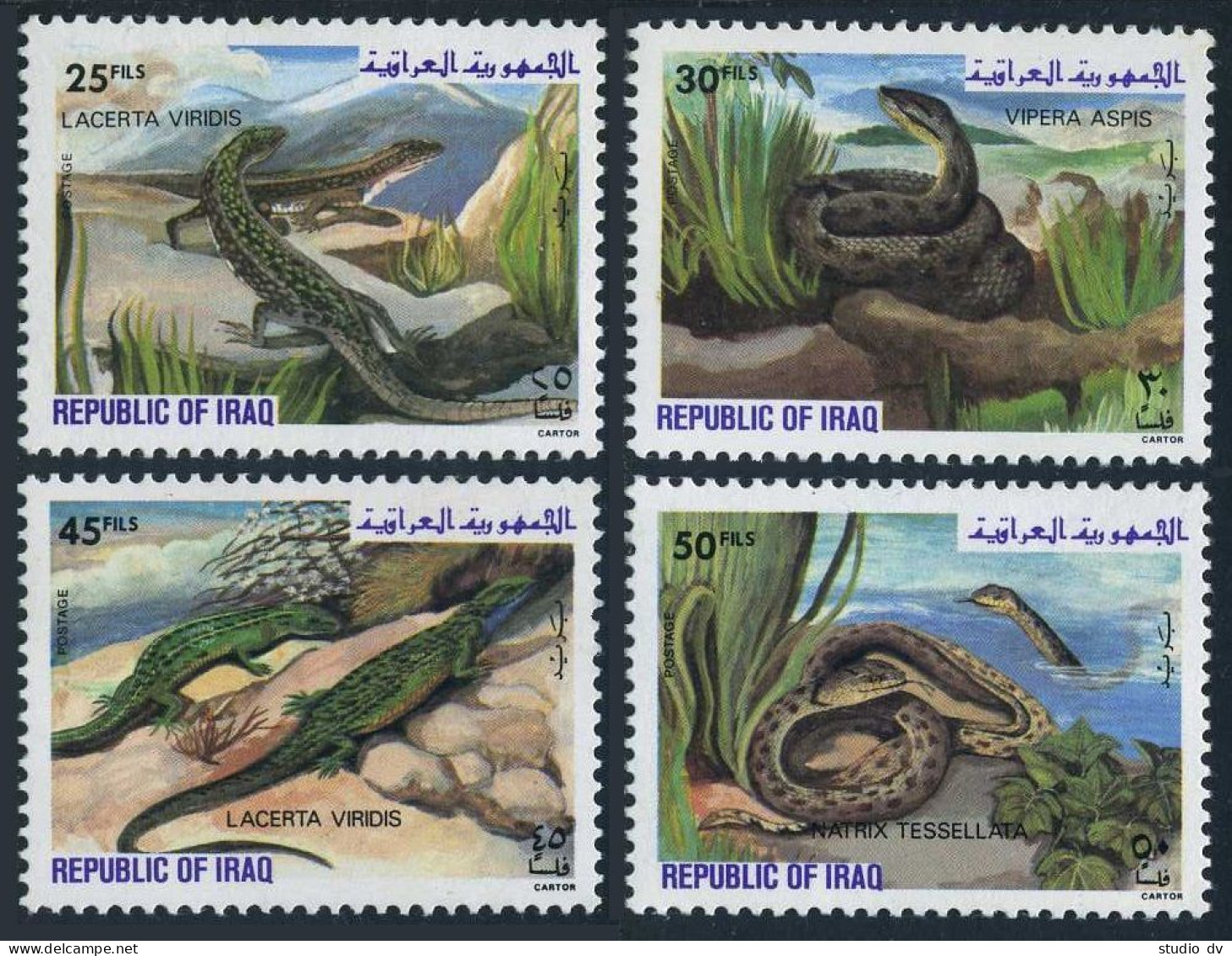 Iraq 1069-1072, MNH. Michel 1161-1164. Reptiles 1982: Lizard, Snake. - Iraq