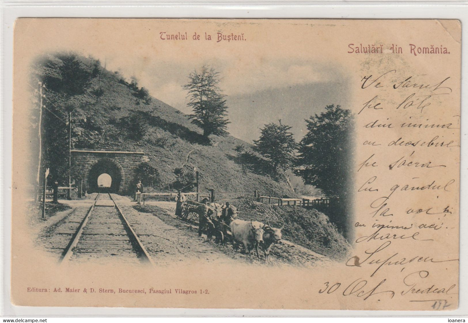 Busteni - Tunelul De La Busteni ,Salutari Din Romania - Roemenië