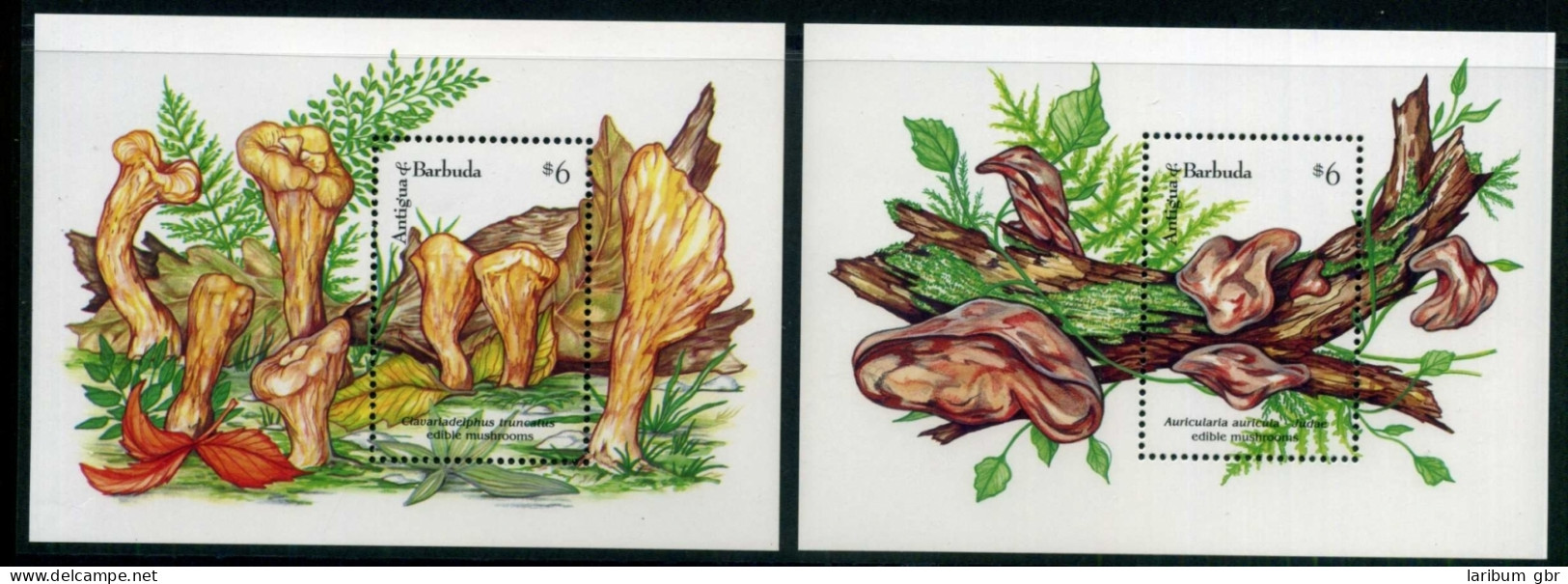 Antigua Und Barbuda Block 234-35 Postfrisch Pilze #HO359 - Antigua Und Barbuda (1981-...)